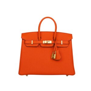 Hermes Birkin 25 Bag Togo Flame Orange 25Cm