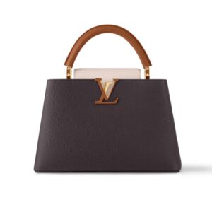 Louis Vuitton Capucines MM Bag Brown 27Cm M20581