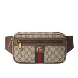 Gucci GG Ophidia Belt Bag Brown 24Cm 574796 97SIT 8747
